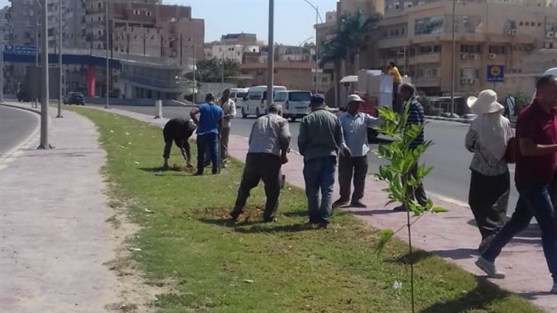 محافظ الإسكندرية