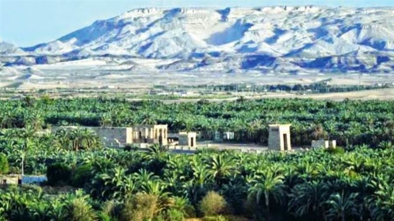 اعلان محافظ الوادي