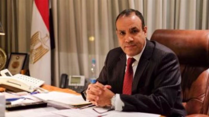 بدر عبد العاطي