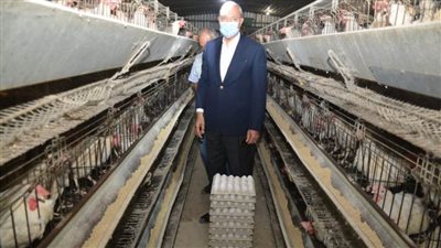 محافظ القليوبية يتابع مشروع الـ30 مليون بيضة بالخانكة