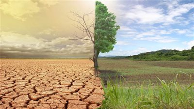 الإندبندنت: نقص التغذية في العالم يقفز بنسبة 35 % مع تفاقم أزمة المناخ