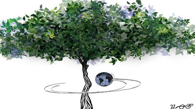 #الريشة_في_مواجهة_التغيرات_المناخية 