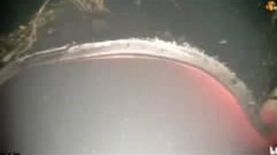 بالفيديو.. اللقطات الأولى لأنفجارات خط الغاز 