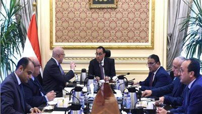 الحكومة تستعد لطرح عدد من قطع الأراضي والوحدات السكنية للمصريين في الخارج