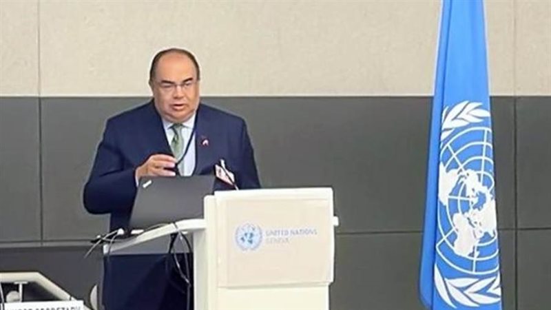 الدكتور محمود محيي