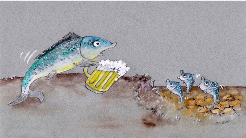 بوابة روز اليوسف