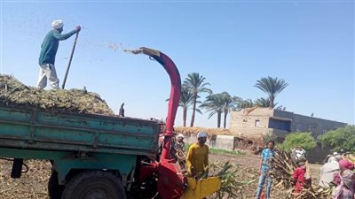 محافظ أسيوط توفير مفارم المخلفات الزراعية بالمجان لتشجيع المزارعين على فرم المخلفات وعدم حرقها