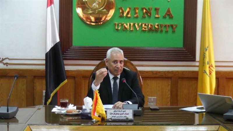 جامعة المنيا