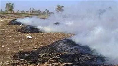 تحرير 38 محضر مخالفة بيئية لحرق المخلفات الزراعية بسوهاج