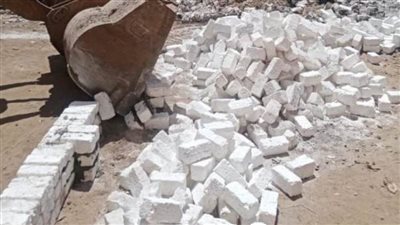 استمرار تنفيذ أعمال إزالة التعديات المخالفة على الأراضي الزراعية بالشرقية 