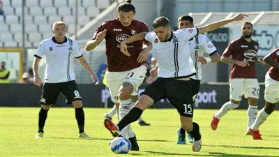 فوز ساليرنيتانا على سبيزيا بهدف نظيف بالدوري الإيطالي