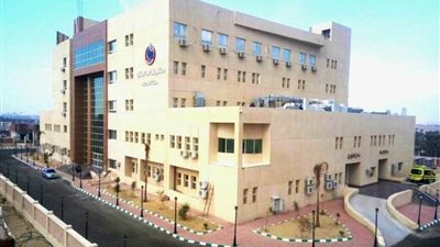 وصول دفعة جديدة من أطباء الجامعات المصرية إلى مستشفى بئر العبد 
