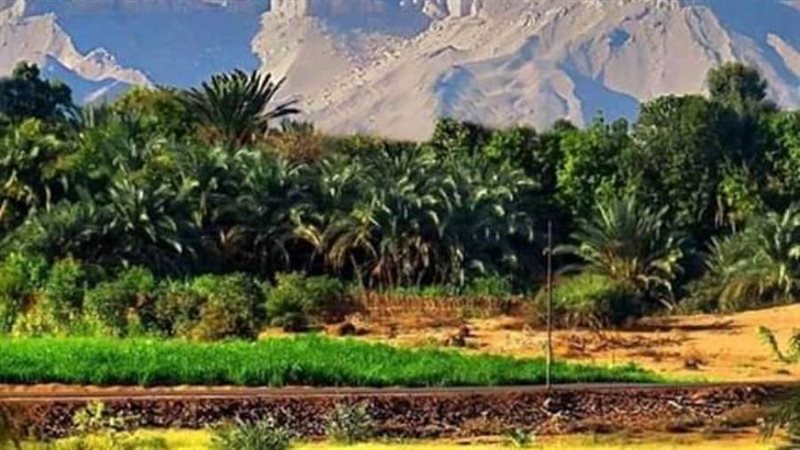 الخارجه عاصمة البيئه