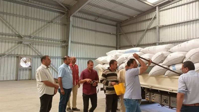 توريد القمح