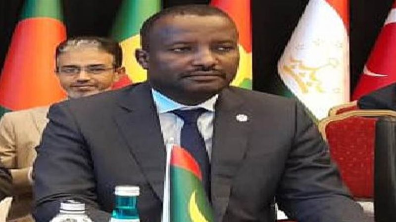 وزير الثقافة الموريتاني