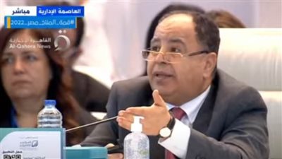 وزير المالية: الأداء المالي للعام الحالي مشجع رغم الظروف العالمية الصعبة