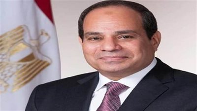 التنسيقية تشكر الرئيس السيسي لإصداره قرارًا بالعفو عن زياد العليمي