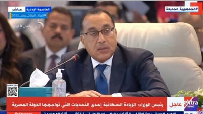 مدبولي: الطاقة المتجددة تحتاج شراكة قوية بين القطاعين العام والخاص