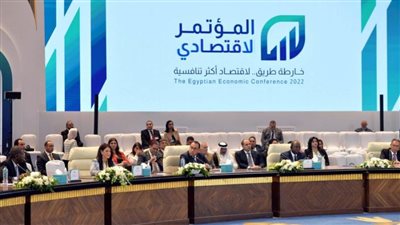 رئيس الوزراء: الدولة تساعد القطاع الخاص في الحصول على قروض من مؤسسات التمويل الدولية  