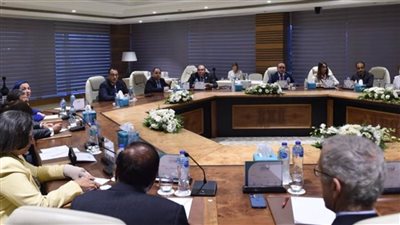 خبراء دوليون يشيدون بما تقوم الدولة المصرية بتنفيذه من مشروعات في مجال الطاقة النظيفة والهيدروجين الأخضر