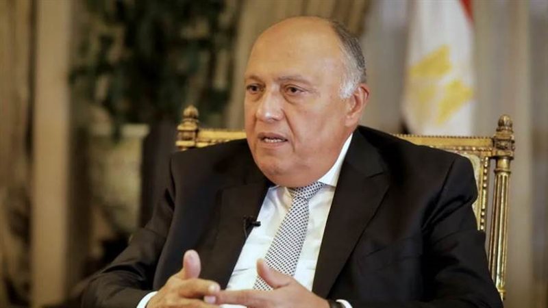 سامح شكري وزير الخارجية