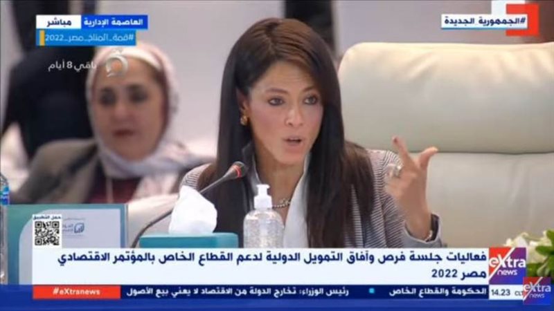 وزيرة التعاون الدولي