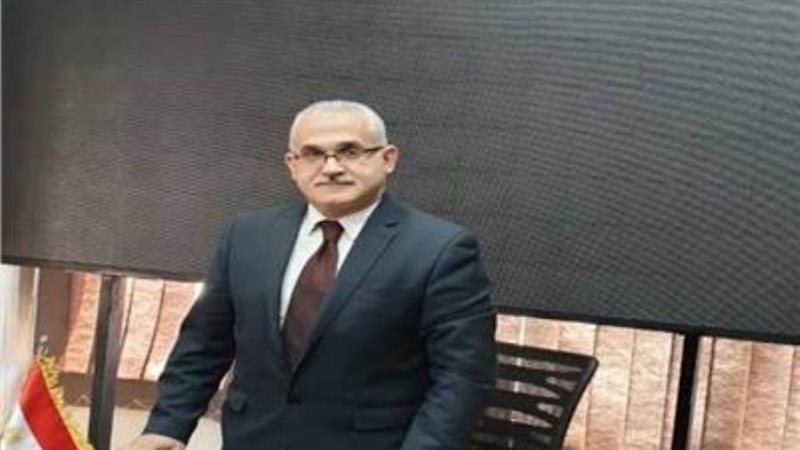 الدكتور هشام عنانى