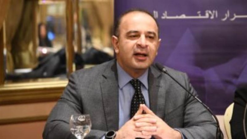 نائب وزيرة التخطيط