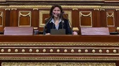 برلمانية: توصيات المؤتمر الاقتصادي ستدفع عجلة التنمية وتحسين المناخ الاستثماري وحل المشكلات