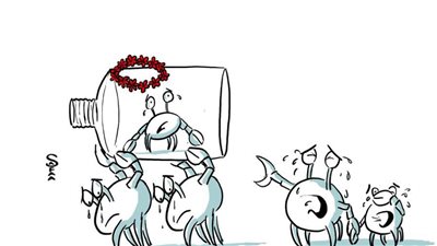 #الريشة_في_مواجهة_التغيرات_المناخية 