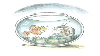 #الريشة_في_مواجهة_التغيرات_المناخية 