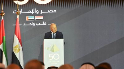 أمين جامعة الدول العربية: الإمارات من أكبر الداعمين لـ«الجمهورية الجديدة» في مصر