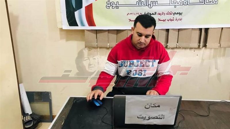 لجان التصويت