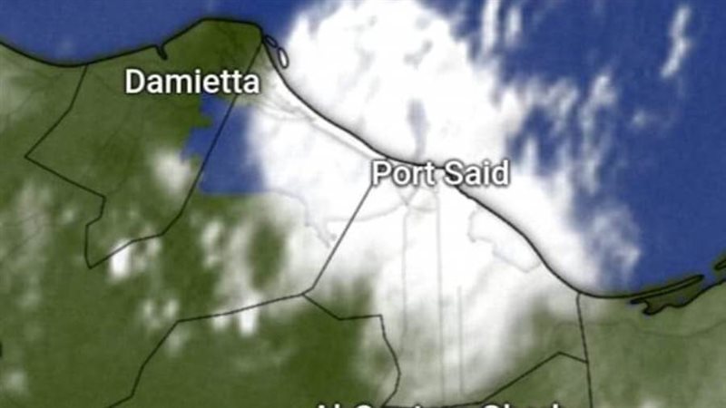 الخلايا الرعدية