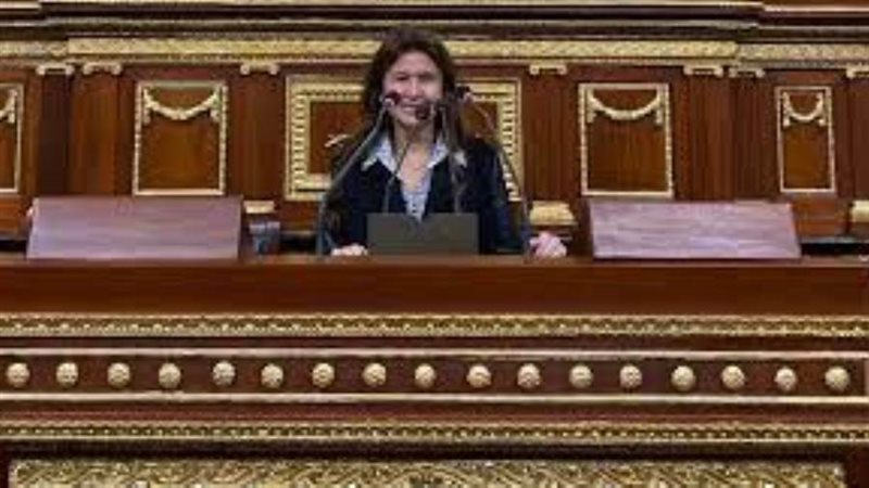 النائبة شيرين عليش