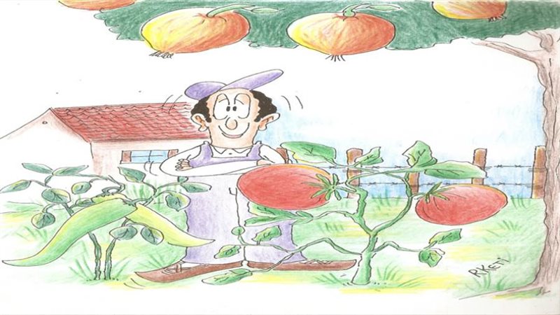 بوابة روز اليوسف