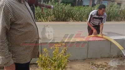 زراعة الأشجار ورفع كفاءة الإنارة بقلين وبلطيم    