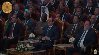 الرئيس السيسي يوجه بمنح جميع المستثمرين 