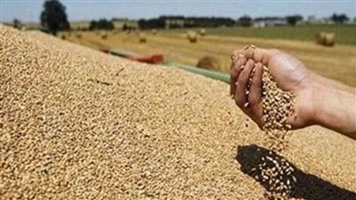 روسيا تعلق مشاركتها في 