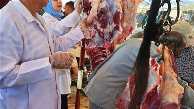 بيطري الشرقية يضبط 9 أطنان لحوم وأسماك مخالفة خلال حملة تفتيشية 