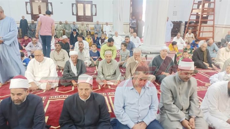 المهندس شريف هيكل