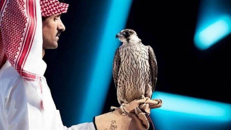 الصقور السعودي