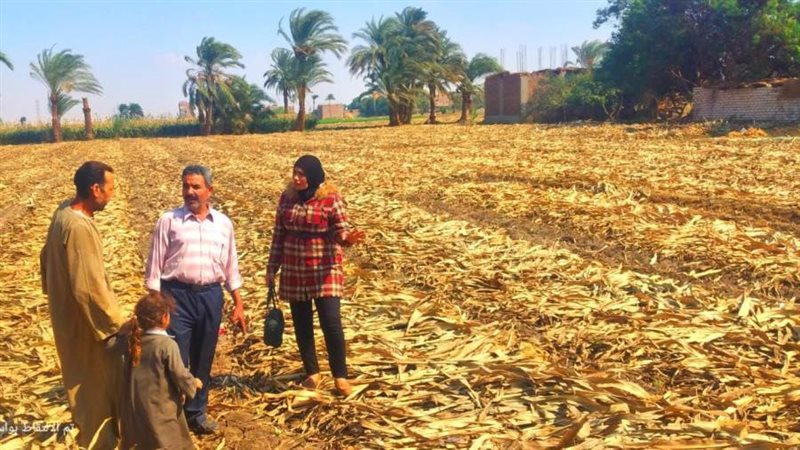 محافظ أسيوط استمرار