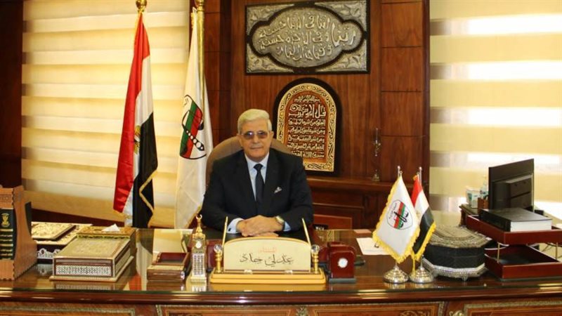 المستشار عدلي جاد