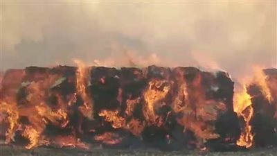 حريق هائل يلتهم شونة لتجميع قش الأرز بالدقهلية 