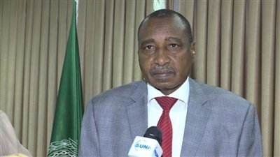 الدخيري: الاجتماعات التحضيرية للقمة العربية أفضت إلى قرارات لتحقيق الأمن الغذائي