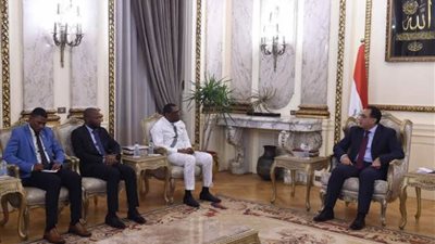 مدبولي يشيد بالتعاون مع سيراليون ويؤكد اهتمام مصر بتعزيز العلاقات مع الأشقاء الأفارقة