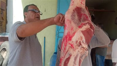 ضبط لحوم وأسماك غير صالحة للاستهلاك الآدمي في حملة بالبحيرة