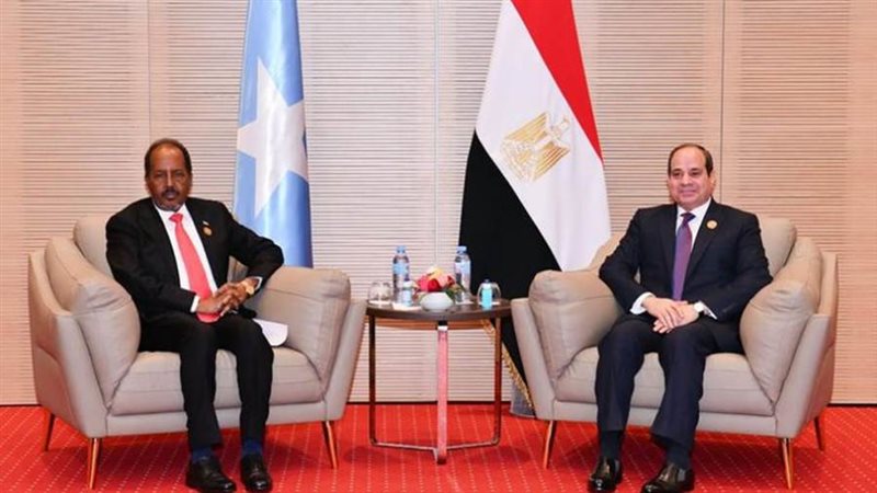 الرئيس السيسي يلتقي