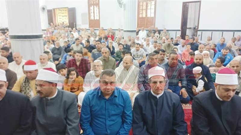 المهندس شريف هيكل